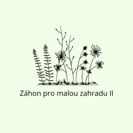 Záhon pro malou zahradu II