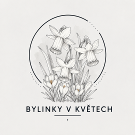 Bylinky v květech