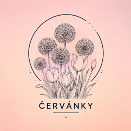 Červánky