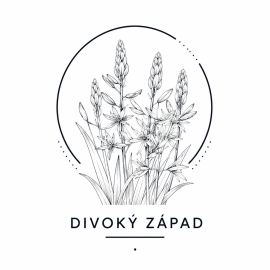 Divoký západ