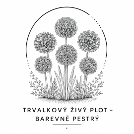 Trvalkový živý plot -...