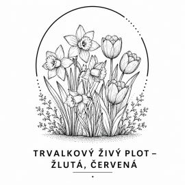 Trvalkový živý plot -...