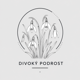 Divoký podrost