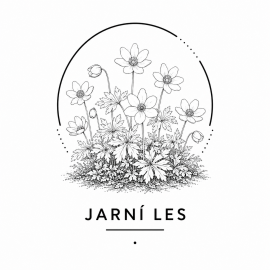 Jarní les
