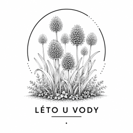 Léto u vody