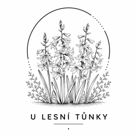 U lesní tůňky