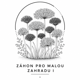 Záhon pro malou zahradu I