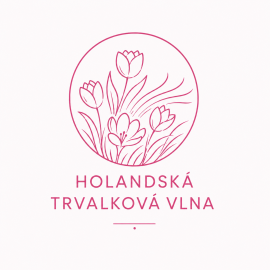 Holandská trvalková vlna