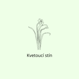 Kvetoucí stín